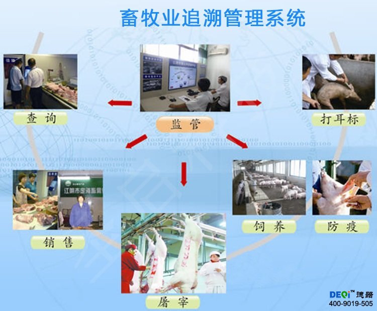 智能畜禽养殖物联